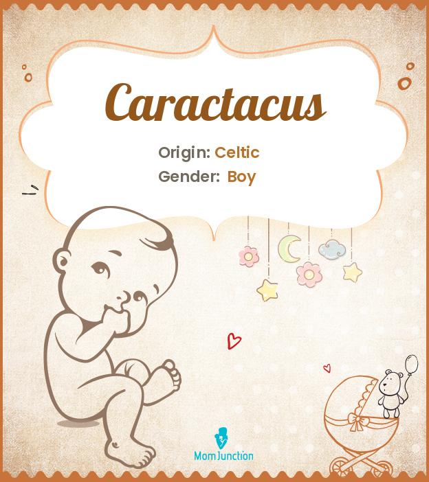 caractacus caractacus