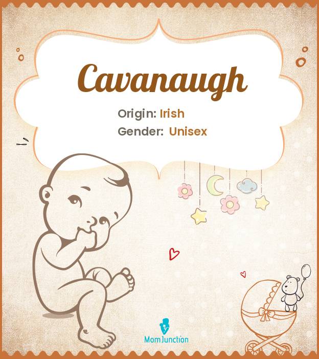 cavanaugh