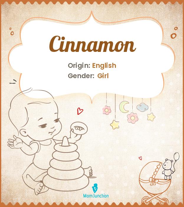Cinnamon Meaning, Origin, Popularity