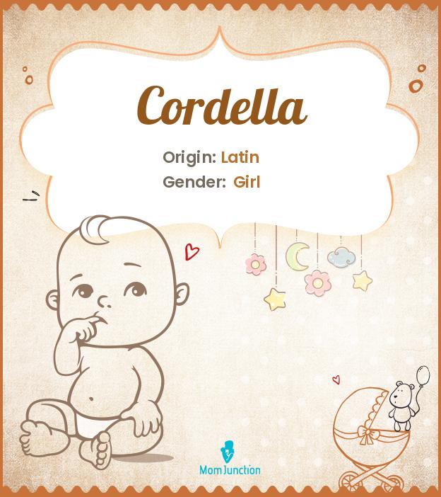 cordella cordella