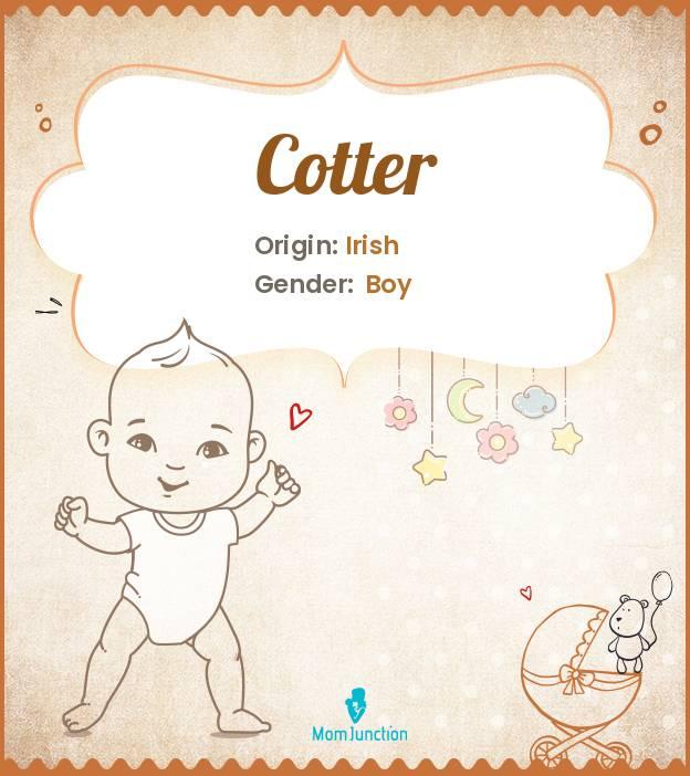 Cotter Meaning, Origin, Popularity