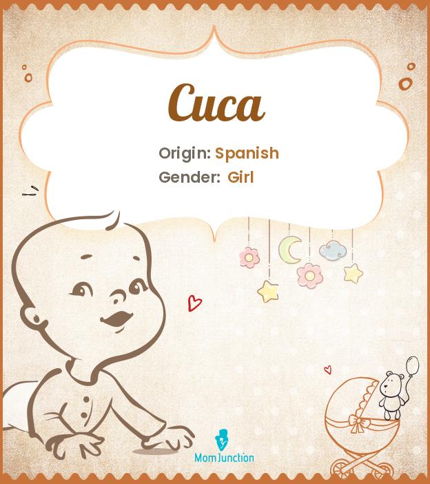 Cuca: Meaning, Origin, Popularity