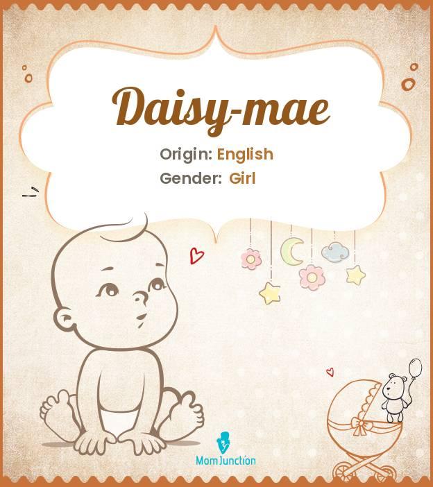 Explore Daisymae Meaning, Origin & Popularity MomJunction