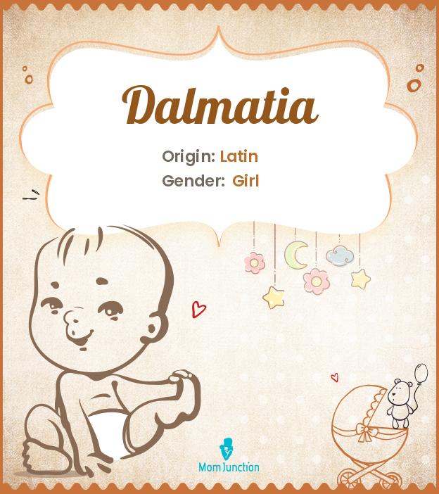 dalmatia dalmatia
