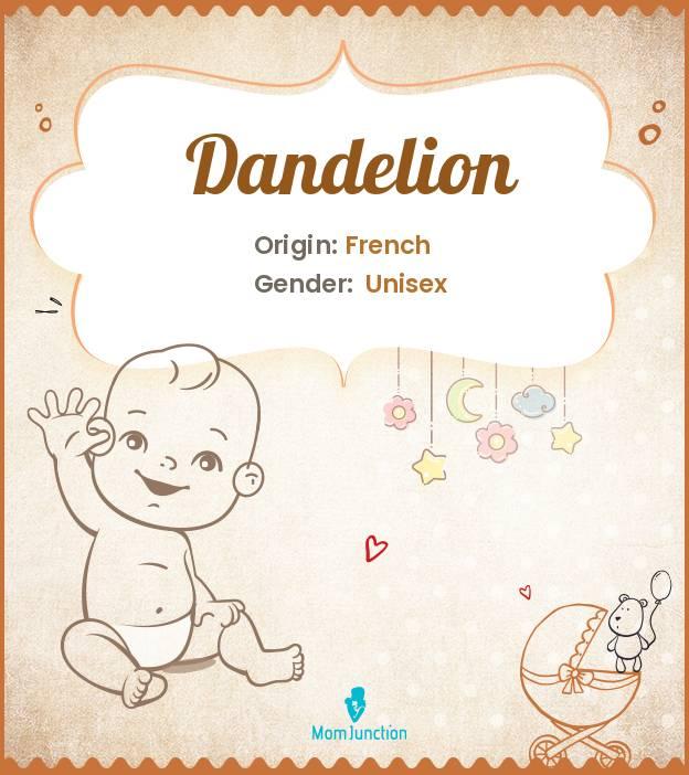 Explore Dandelion Meaning, Origin & Popularity MomJunction