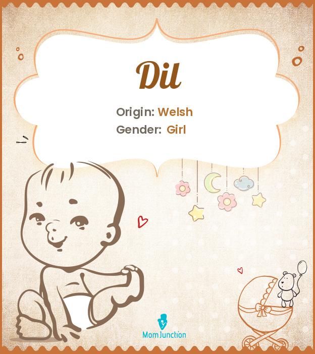 Explore Dil Meaning, Origin & Popularity