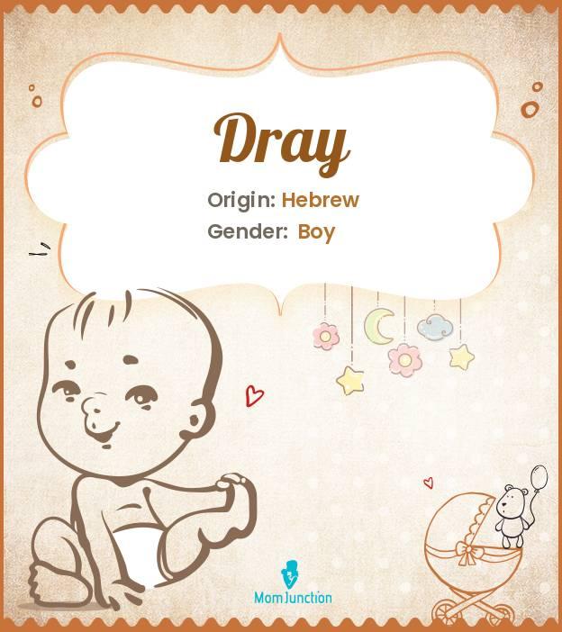 Explore Dray Meaning, Origin & Popularity