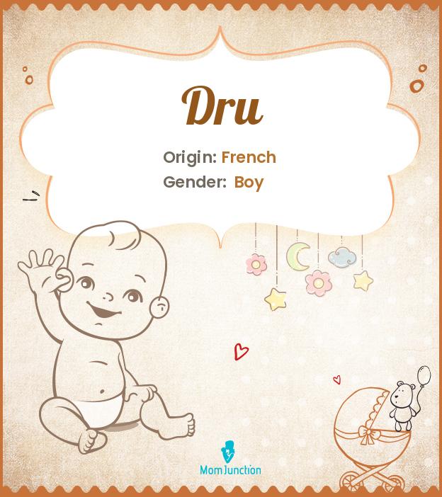 Dru Name Meaning, Origin, History, And Popularity