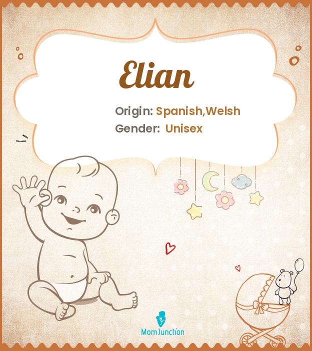 Elian Name Meaning, Origin, History, And Popularity