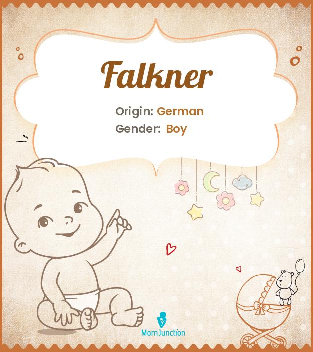 falkner falkner