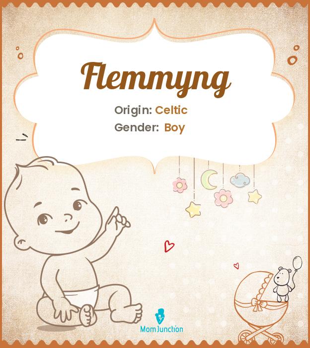 flemmyng flemmyng