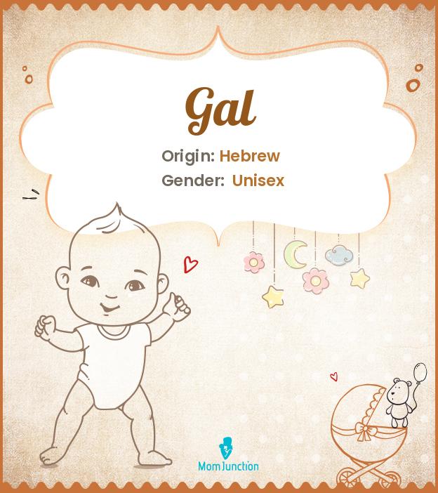 Gal Name Meaning, Origin, History, And Popularity