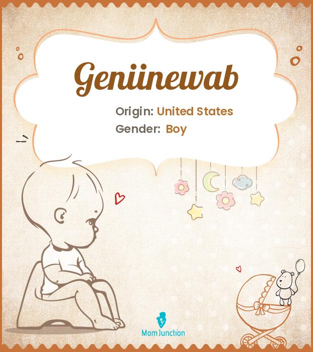 geniinewab geniinewab
