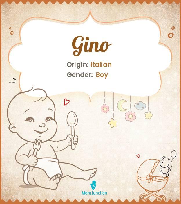 Explore Gino Meaning, Origin & Popularity