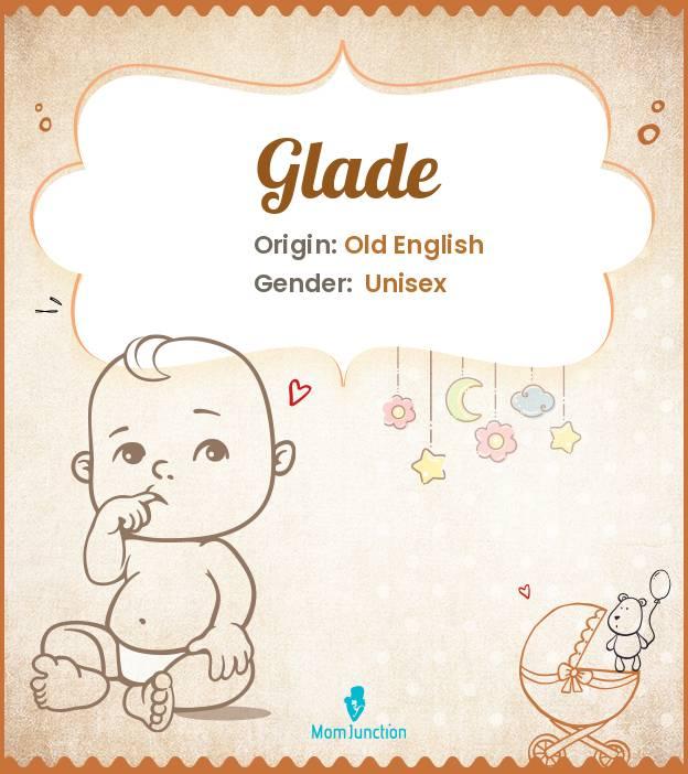 Explore Glade Meaning, Origin & Popularity