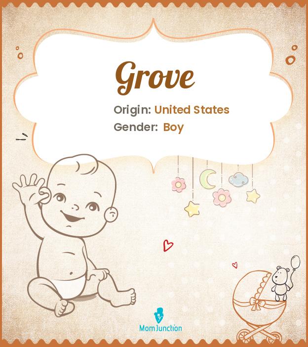 Explore Grove Meaning, Origin & Popularity