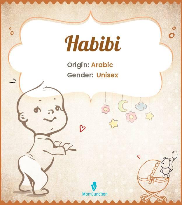 habibi means -MENACING