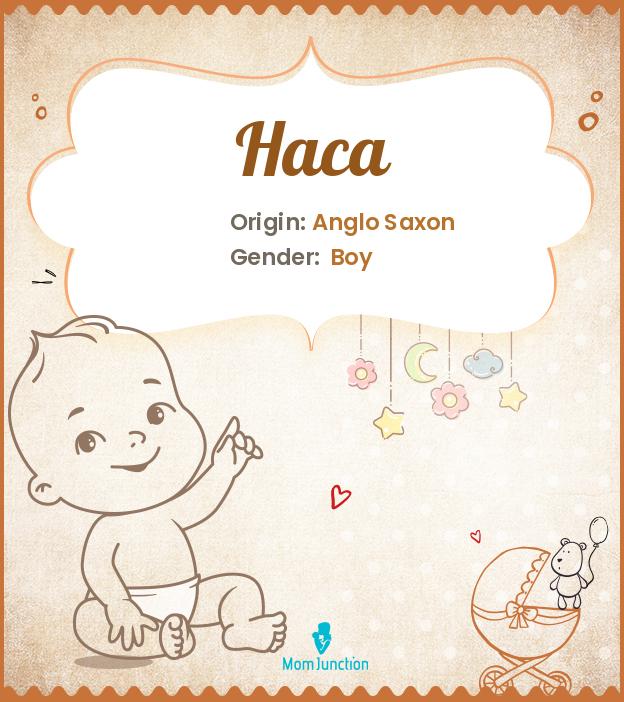 haca haca