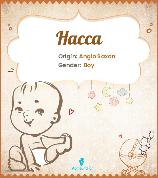 hacca hacca