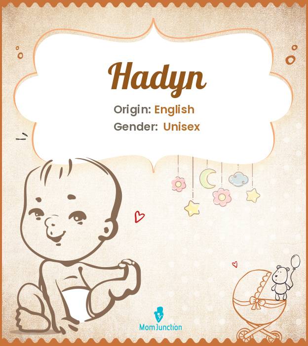 hadyn