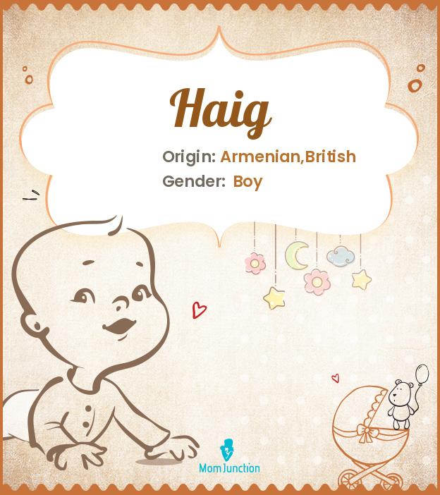haig haig