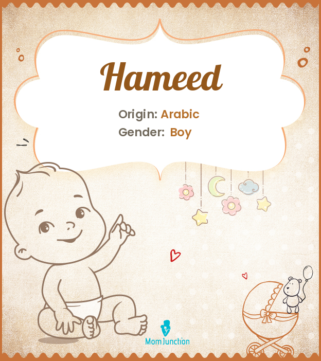 hameed