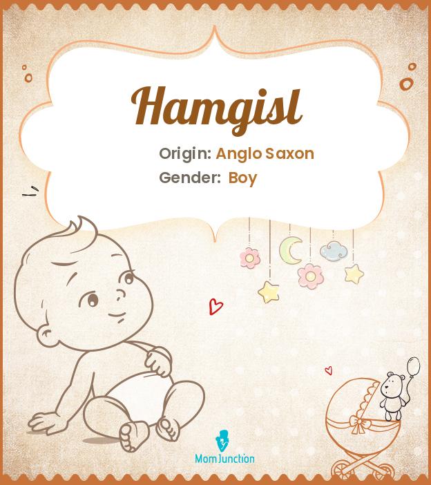 hamgisl hamgisl