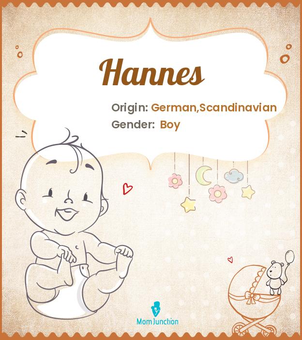 hannes hannes