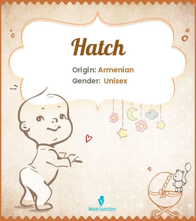 Explore Hatch Meaning, Origin & Popularity MomJunction
