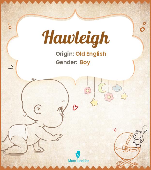hawleigh hawleigh