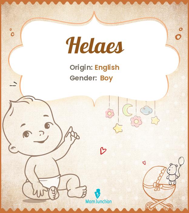 helaes helaes