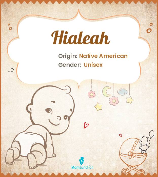hialeah