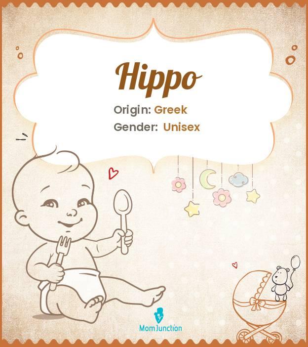 Explore Hippo: Meaning, Origin & Popularity