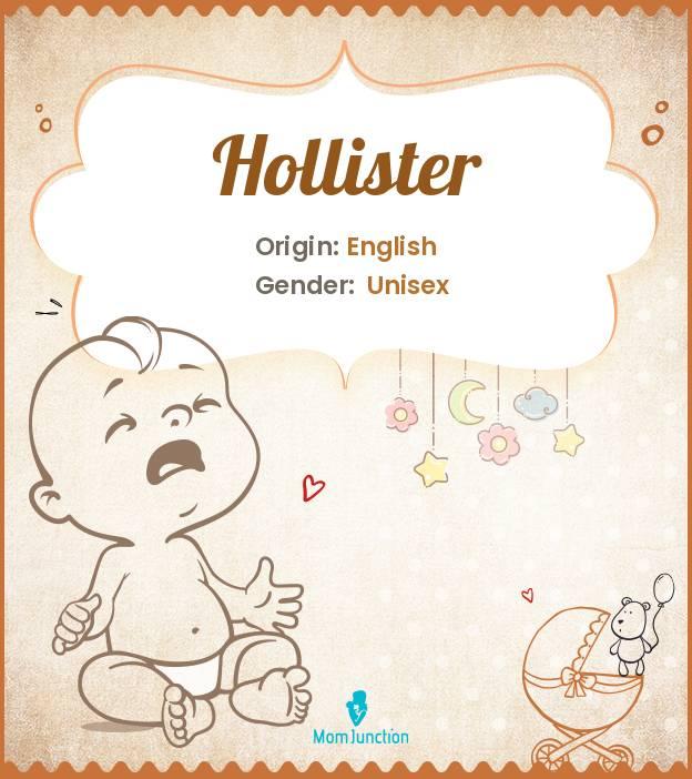 Hollister Name Meaning, Origin, History, And Popularity