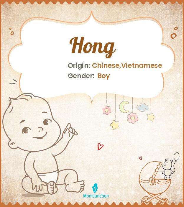 Hong Name Meaning, Origin, History, And Popularity