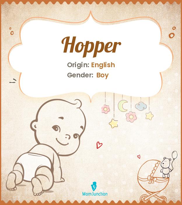 Explore Hopper Meaning, Origin & Popularity