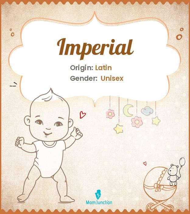 Explore Imperial Meaning, Origin & Popularity