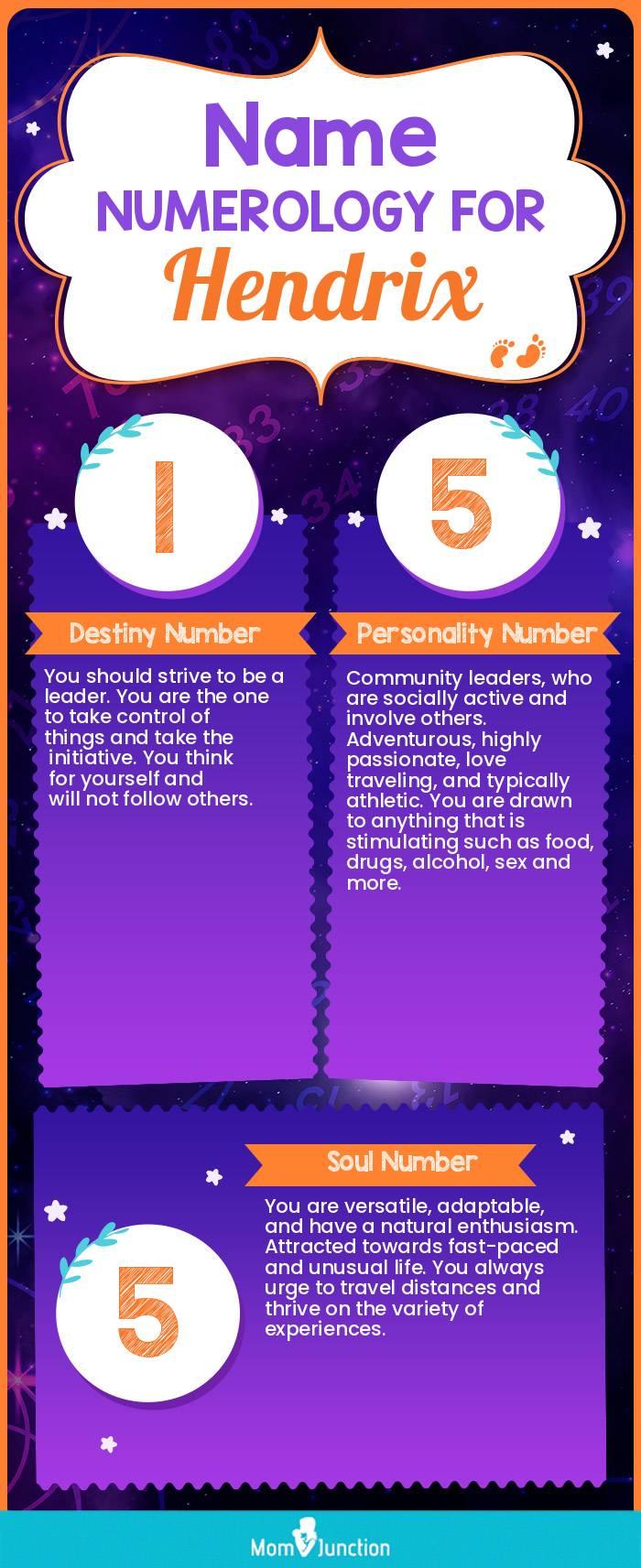 Hendrix Name Meaning, Origin, History, And Popularity