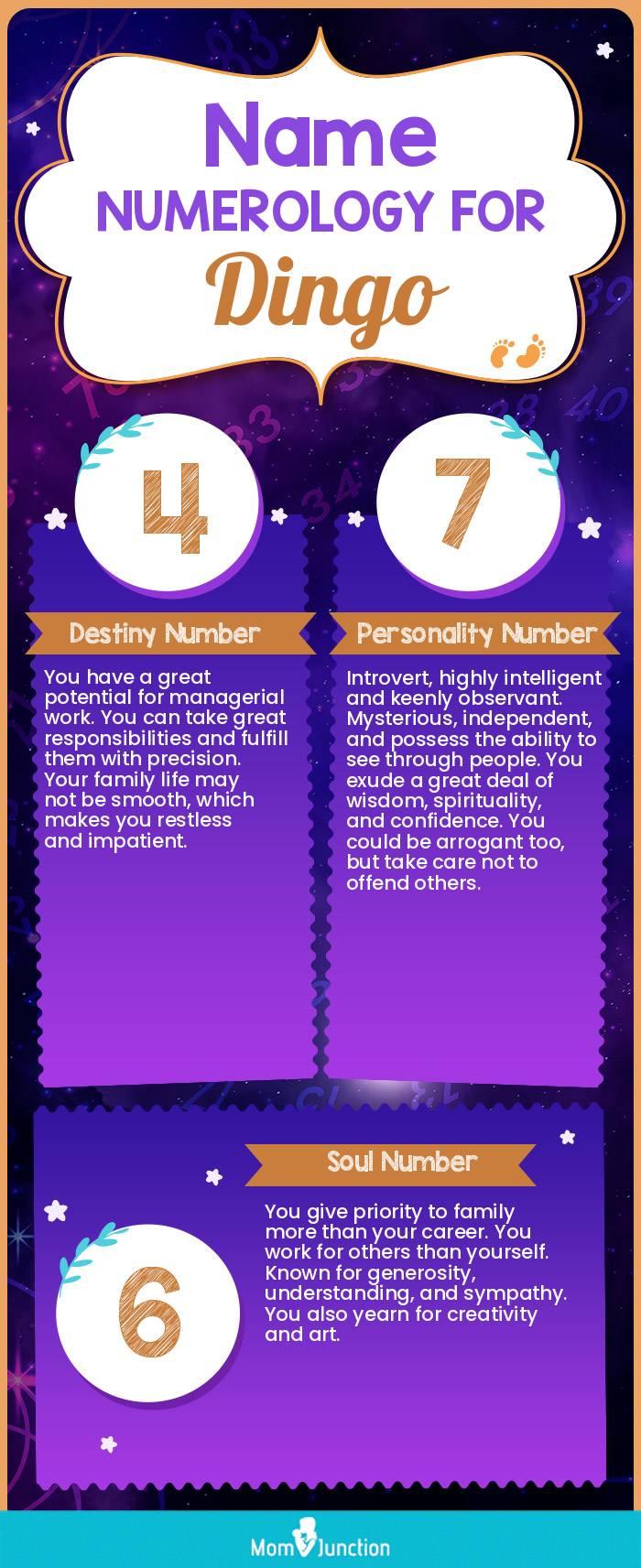 Dingbang Name Meaning, Origin, Numerology & Popularity - Drlogy