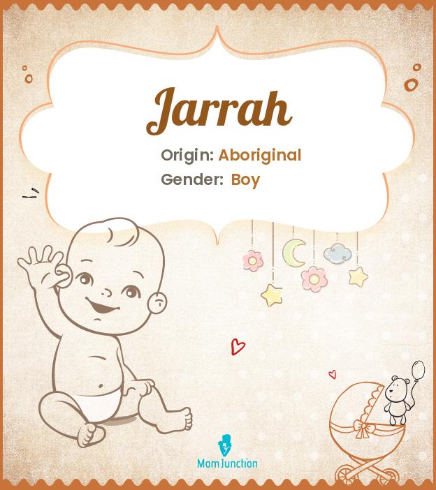 Explore Jarrah Meaning, Origin & Popularity MomJunction