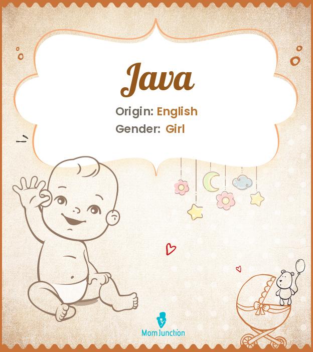 Explore Java Meaning, Origin & Popularity
