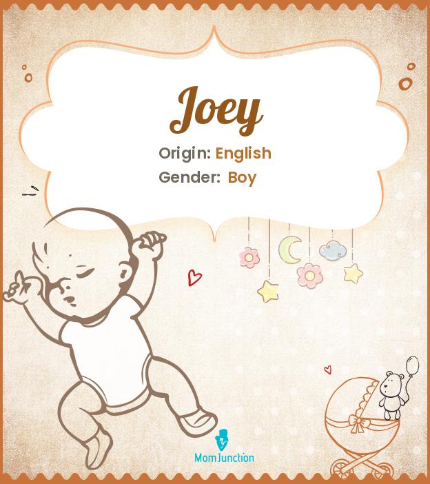 Joey Name Meaning, Origin, History, And Popularity