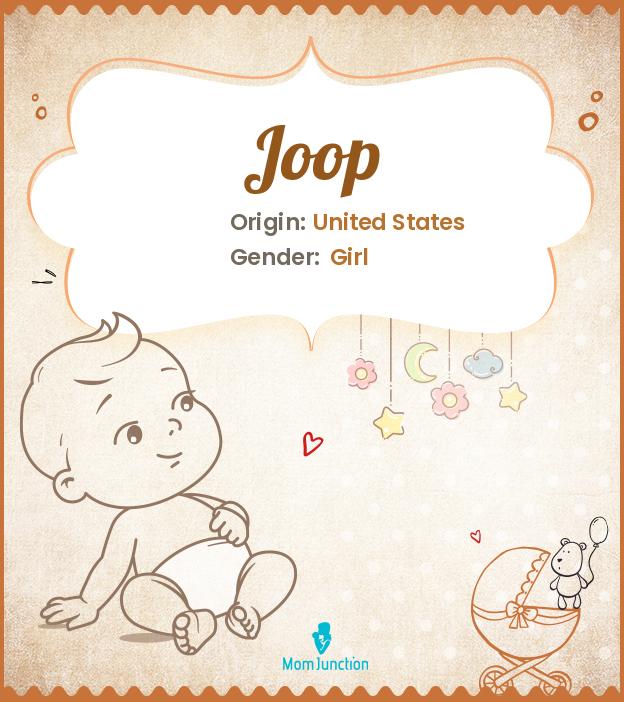 Joop usa online