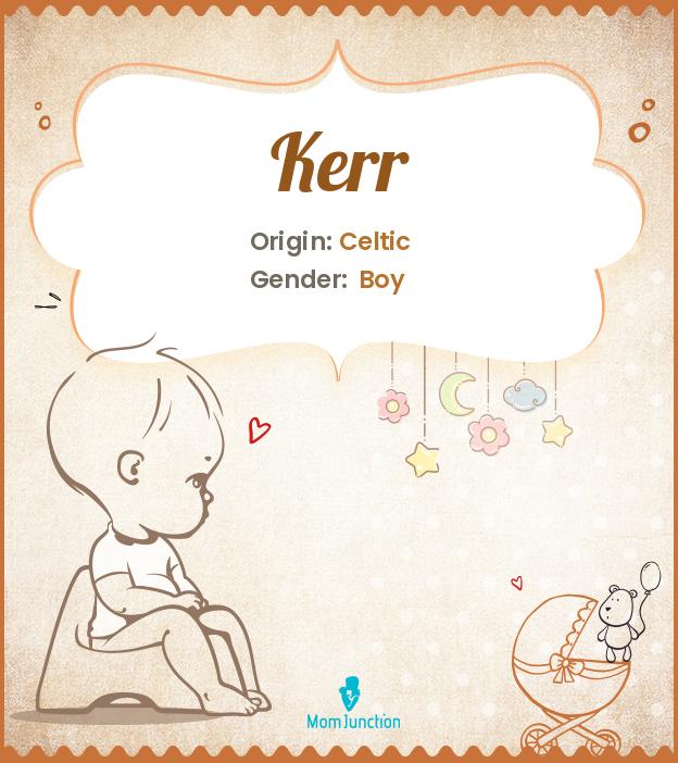 Explore Kerr: Meaning, Origin & Popularity