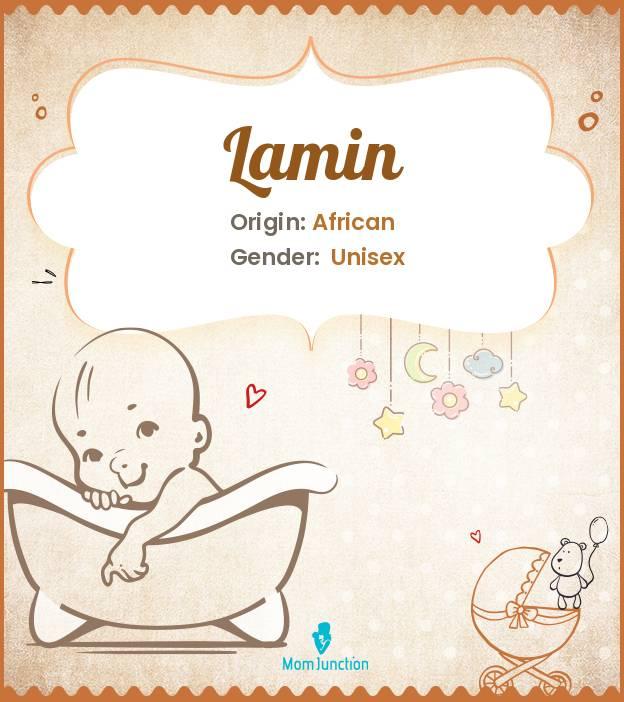 Lamin