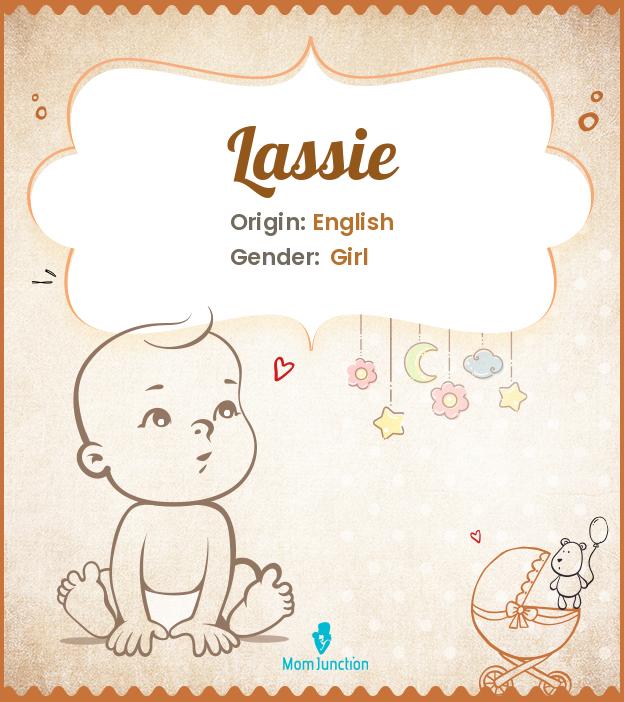 Explore Lassie Meaning, Origin & Popularity