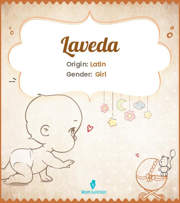 laveda laveda