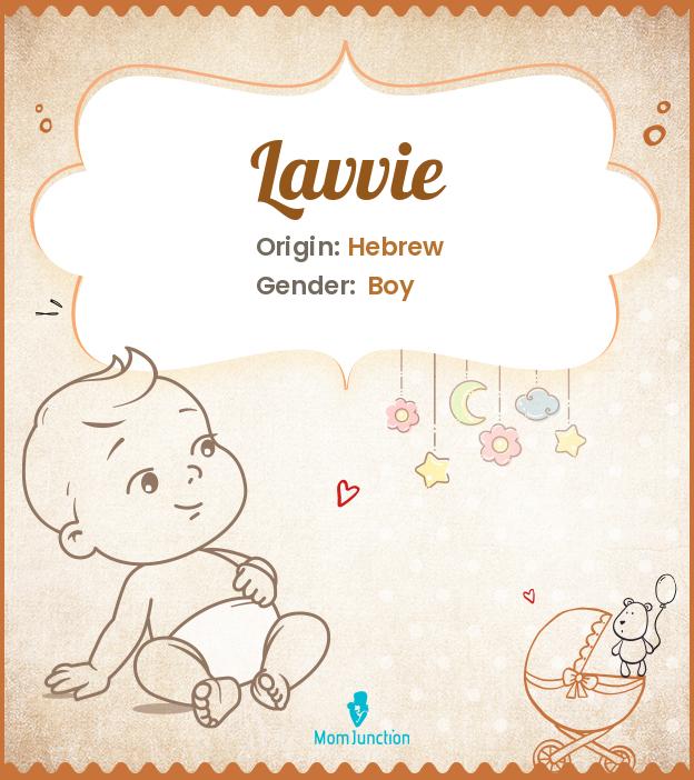 lavvie lavvie