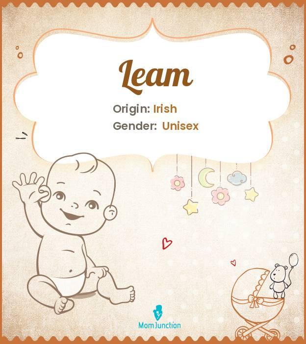 5 letter word with leam in it