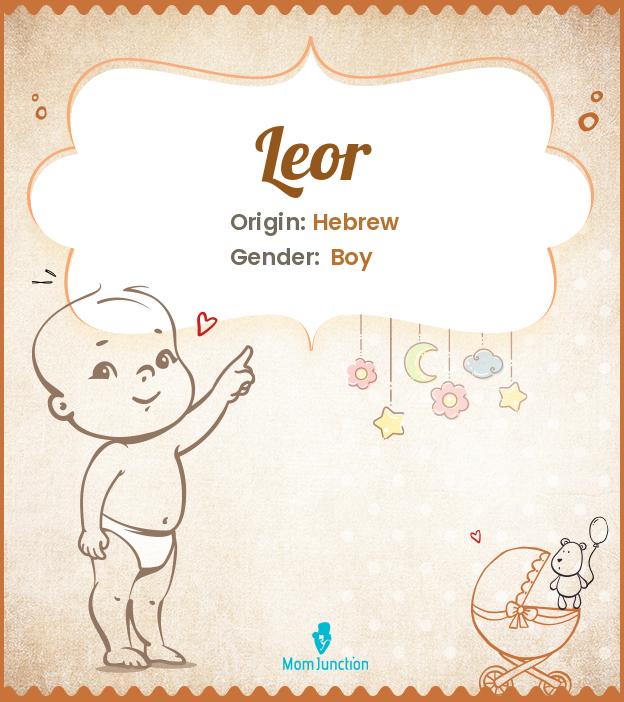 Explore Leor: Meaning, Origin & Popularity